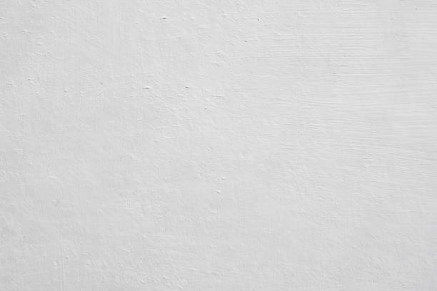 Mold Odor Removal Services in Mission Bend, TX