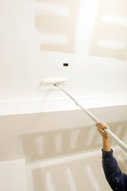 Reliable Mission Bend, TX Mold Removal Solutions